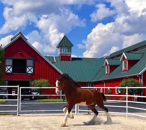 Warm springs ranch - Where Legends Are Born. Warm Springs Ranch is the official breeding facility of the Budweiser Clydesdales. Resting on 300-plus acres of rolling hills in the heart of Missouri, our state-of-the-art establishment will take your breath away. Built in 2008, the property features a mare/stallion and foaling barn, veterinary lab, and 10 pastures ... 